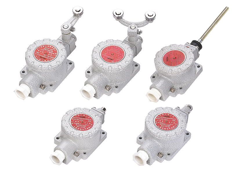 dLXK- Series Explosion-proof Limit Switches